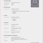 Max Mustermann Bewerbung Vorlage Erstaunlich Vereinsverwaltung Excel