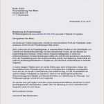 Max Mustermann Bewerbung Vorlage Wunderbar Max Mustermann Lebenslauf