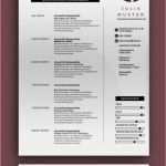 Maxx Ticket Kündigen Vorlage Neu Ticket Vorlage Zum Bearbeiten Kostenlos 23 Brillant