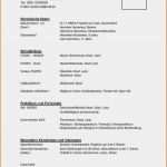 Mcdonalds Kündigung Vorlage Bewundernswert 12 Lebenslauf 2015 Schüler