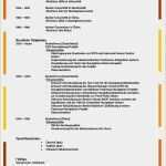 Mcdonalds Kündigung Vorlage Erstaunlich 13 Lebenslauf Mcdonalds