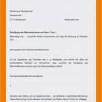 Mcfit Kündigen Email Vorlage Genial 10 Maxdome Kründigen Email