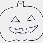 Mcfit Kündigung Vorlage Zum Ausdrucken Angenehm Halloween Kuerbis Vorlage Zum Ausschneiden Xobbu
