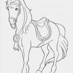 Medaille Vorlage Word Hübsch Medaille Ausmalbilder 600 Ovh