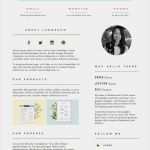 Media Kit Vorlage Wunderbar Teacher Resume Template