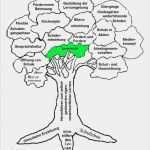 Medienkonzept Grundschule Vorlage Erstaunlich Das Schulprogramm