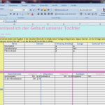 Medikamentenplan Vorlage Excel Hübsch Planungen