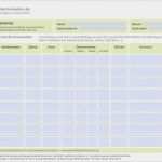 Medikamentenplan Vorlage Excel Schön Medikamenten Liste Gesundheitsinformation