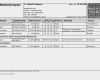 Medikamentenplan Vorlage Excel Schönste Medikamentenplan Pdf Word Zum Ausdrucken