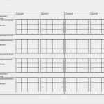 Medikamentenplan Vorlage Kostenlos Best Of Medikamentenplan Pdf Word Zum Ausdrucken sonstiges