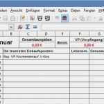 Medikamentenplan Vorlage Kostenlos Schön Klassisches Haushaltsbuch Im Excel format