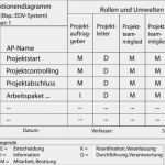 Meilensteine Projektmanagement Vorlage Elegant Funktionendiagramm