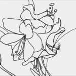 Mein Kreativ atelier Nr 35 Vorlagen Genial Vorlagen Mein Kreativ atelier Nr 94 Oz Verlag