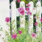 Mein Kreativ atelier Vorlagen Schönste Mein Kreativ atelier Malen Lernen Gestalten Und Kreativ