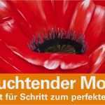 Mein Kreativ atelier Vorlagen Wunderbar Malen Mit Acryl Mohnblüte Begleitvideo Zur Zeitschrift