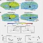 Meine Schufa Kündigen Vorlage Wunderbar Meine Schufa Anfordern Neu Die Beste Vorlage Ideen