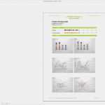 Meine Vorlagen Com Gut Nutzwertanalyse Excel Vorlagen Nwa Präferenzmatrix