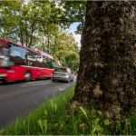 Meinungsumfrage Vorlage Genial Misstrauen Prägte Tram Abstimmung News Bern Stadt