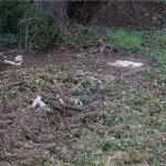 Meinungsumfrage Vorlage Gut Sechtemer Weg Bornheim Unterbringung Von 128 Flüchtlingen