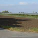 Meinungsumfrage Vorlage Süß Bestandsaufnahme Flüchtlingspolitik In Bornheim