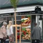 Meinungsumfrage Vorlage Süß Regiowelt Presse