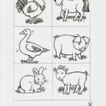 Memory Bilder Vorlagen Bewundernswert Bauernhof Memo Spiel Tiere