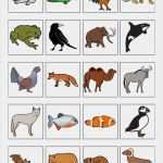 Memory Karten Vorlage Genial Bildkarten Tiere Und Ihre Merkmale Ses Madoo