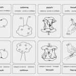 Memory Selber Basteln Vorlagen Bewundernswert Apfelspass Und Spiel
