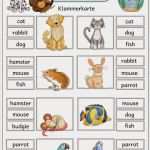 Memory Spiel Powerpoint Vorlage Best Of Klammerkarten Flashcards Zum thema "pets"