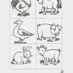 Memory Vorlage Ausdrucken Bewundernswert Download Als Pdf 2 Seiten Natur – Bauernhof Tiere