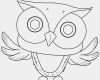 Memory Vorlage Ausdrucken Wunderbar Kostenlose Malvorlage Eulen Eule Zum Ausmalen Zum Ausmalen