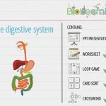 Memory Vorlage Pdf Best Of Berühmt Memory Spielvorlage Fotos Beispiel Anschreiben