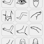 Memory Vorlage Pdf Großartig Bildersammlung Körperteile Diverses Madoo