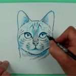 Menschen Zeichnen Vorlagen Einzigartig Wie Zeichnet Man Einen Katzenkopf Zeichnen Für Kinder