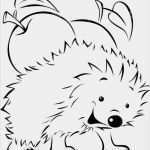 Menükarte Herbst Vorlage Angenehm Die Besten 10 Igel Vorlage Ideen Auf Pinterest