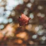 Messe Gesprächsprotokoll Vorlage Neu Follow Up Archive Messeach