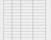 Messprotokoll Excel Vorlage Gut tolle Gasprotokoll Vorlage Zeitgenössisch Beispiel
