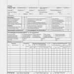 Messprotokoll Vorlage Excel Beste Prüfprotokoll Elektrische Anlagen