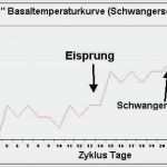 Messprotokoll Vorlage Metall Best Of Wunderbar Temperaturdiagramm Vorlage Galerie