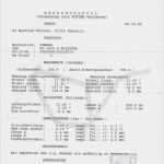 Messprotokoll Vorlage Wasserschaden Hübsch Wildstar Schleswig Holstein