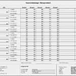 Messprotokoll Vorlage Wasserschaden Schönste Network Designer Ausdrucke Berechneter Kabelnetze Mit