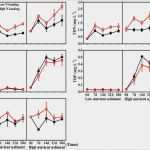 Micro Sim Vorlage Großartig Nano Sim Cutter