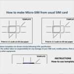 Micro Sim Vorlage Wunderbar Ungewöhnlich Sim Karten Adapter Vorlage Fotos Entry