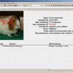 Microsoft Excel Vorlagen Elegant Vorlagen