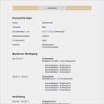 Mietbürgschaft Kündigen Vorlage Angenehm Luxus Bilder Von Lebenslauf Tabellarisch Muster