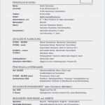 Mietbürgschaft Kündigen Vorlage Wunderbar Luxus Bilder Von Lebenslauf Tabellarisch Muster