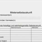 Mieterauskunft Vorlage Best Of Mieter Selbstauskunft formular Download – Giga