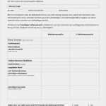 Mieterauskunft Vorlage Erstaunlich Mieterselbstauskunft – formular Zum Kostenlosen Download