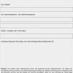 Mieterselbstauskunft 2018 Vorlage Einzigartig 11 Mieterselbstauskunft formular