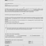 Mieterselbstauskunft 2018 Vorlage Gut 11 Mieterselbstauskunft formular